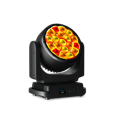 64339_1.png
